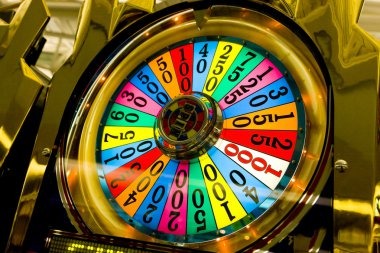 vitatoto platform dashboard showing sportsbook, live dealer, and slots categories